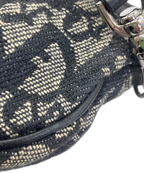 Christian Dior（クリスチャン ディオール）Christian Dior (クリスチャン ディオール) トロッター　サドルバッグ ブラック×ベージュの古着・服飾アイテム