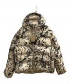 NIKE ACGナイキエーシージー）の古着「LUNAR LAKE JKT」｜ベージュ