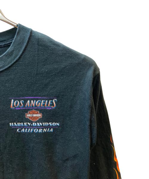 HARLEY-DAVIDSON（ハーレーダビッドソン）HARLEY-DAVIDSON (ハーレーダビッドソン) 袖フレイムカットソー ブラック サイズ:SIZE Lの古着・服飾アイテム