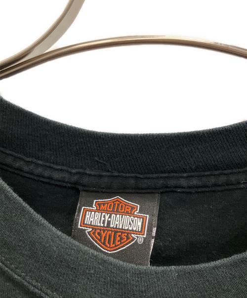 HARLEY-DAVIDSON（ハーレーダビッドソン）HARLEY-DAVIDSON (ハーレーダビッドソン) 袖フレイムカットソー ブラック サイズ:SIZE Lの古着・服飾アイテム