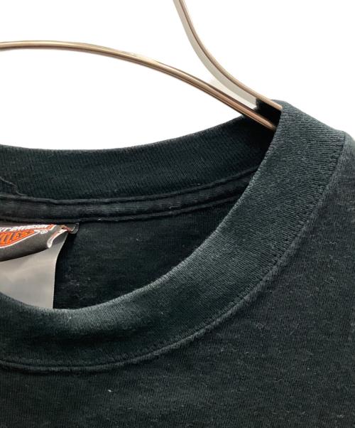 HARLEY-DAVIDSON（ハーレーダビッドソン）HARLEY-DAVIDSON (ハーレーダビッドソン) 袖フレイムカットソー ブラック サイズ:SIZE Lの古着・服飾アイテム