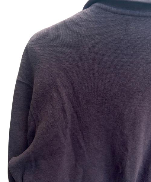POLO RALPH LAUREN（ポロ・ラルフローレン）POLO RALPH LAUREN (ポロ・ラルフローレン) ハーフジップスウェット パープル サイズ:SIZE XLの古着・服飾アイテム