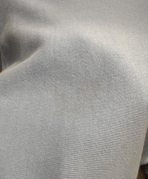 Champion REVERSE WEAVE（チャンピオン リバース ウィーブ）Champion REVERSE WEAVE (チャンピオン リバース ウィーブ) スウェット スカイブルー サイズ:Ｌの古着・服飾アイテム