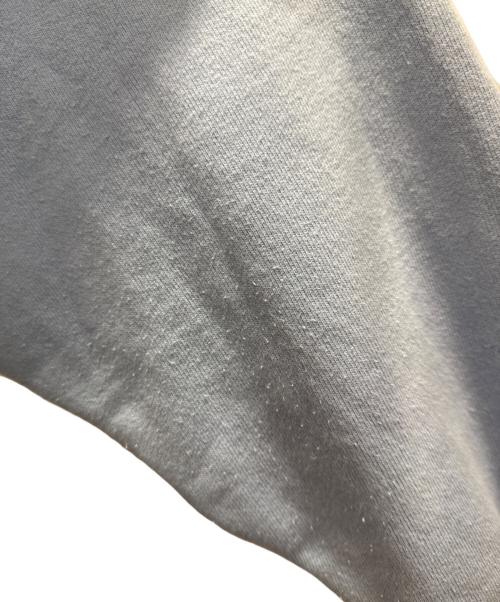 Champion REVERSE WEAVE（チャンピオン リバース ウィーブ）Champion REVERSE WEAVE (チャンピオン リバース ウィーブ) スウェット スカイブルー サイズ:Ｌの古着・服飾アイテム