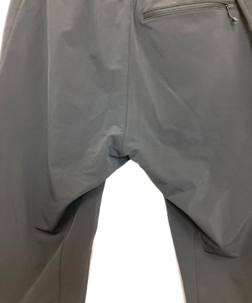 THE NORTH FACE（ザ ノース フェイス）THE NORTH FACE (ザ ノース フェイス) Alpine Light Pant アルパインライトパンツ ブラック サイズ:Lの古着・服飾アイテム