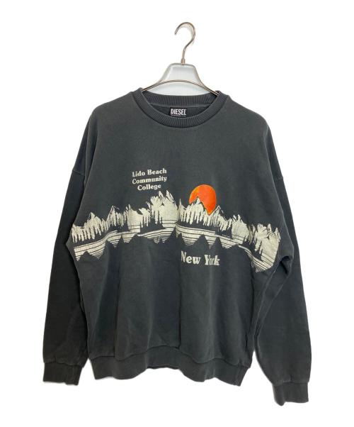 DIESEL（ディーゼル）DIESEL (ディーゼル) スウェットプルオーバー グレー サイズ:L 未使用品の古着・服飾アイテム