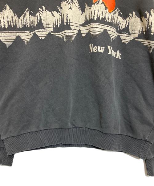 DIESEL（ディーゼル）DIESEL (ディーゼル) スウェットプルオーバー グレー サイズ:L 未使用品の古着・服飾アイテム