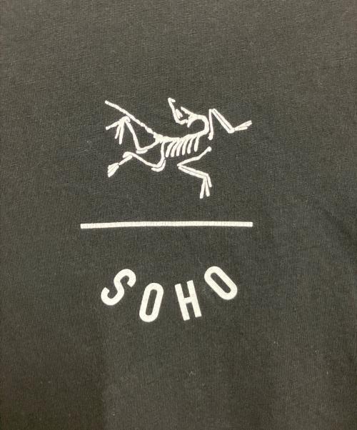ARC'TERYX（アークテリクス）ARC'TERYX (アークテリクス) MARKETING T SHIRT ブラック サイズ:Mの古着・服飾アイテム
