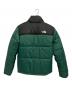 THE NORTH FACE (ザ ノース フェイス) SAIKURU JACKET ブラック×グリーン サイズ:S：11000円