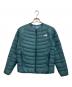 THE NORTH FACE（ザ ノース フェイス）の古着「サンダーラウンドネックジャケット」｜スカイブルー
