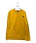 THE NORTH FACE（ザ ノース フェイス）の古着「長袖カットソー」｜オレンジ