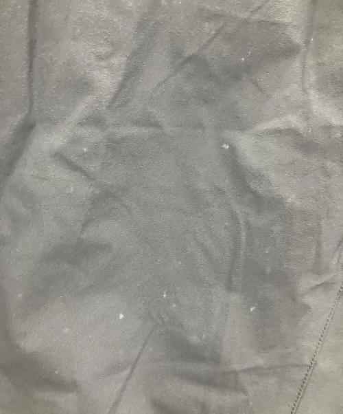 THE NORTH FACE（ザ ノース フェイス）THE NORTH FACE (ザ ノース フェイス) バーブーライトパンツ ブラック サイズ:XLの古着・服飾アイテム