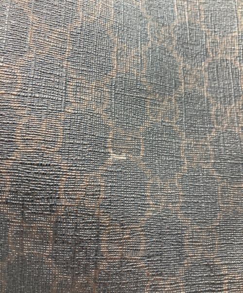 GUCCI（グッチ）GUCCI (グッチ) トートバッグ GGスプリームキャンバス ブラウンの古着・服飾アイテム