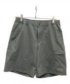 THE NORTH FACEザ ノース フェイス）の古着「マウンテンカラーショーツ」｜グレー