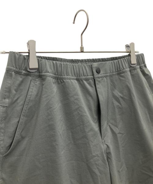 THE NORTH FACE（ザ ノース フェイス）THE NORTH FACE (ザ ノース フェイス) マウンテンカラーショーツ グレー サイズ:Lの古着・服飾アイテム