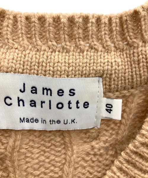 James Charlotte（ジェームスシャルロット）James Charlotte (ジェームスシャルロット) ニットベスト ブラウン サイズ:SIZE40の古着・服飾アイテム
