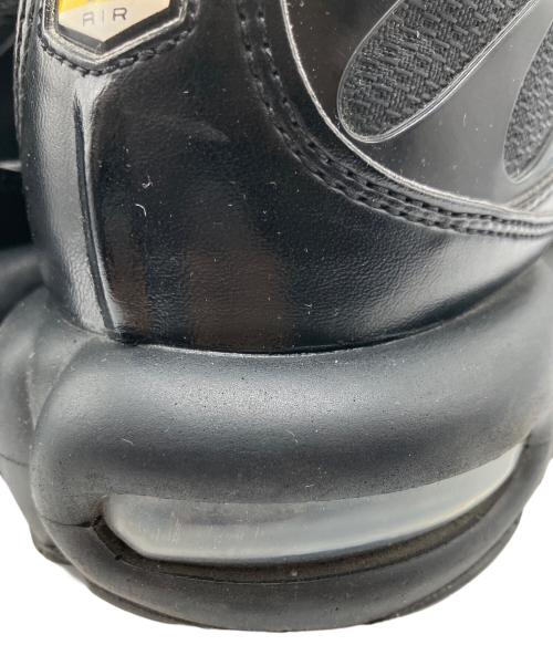 NIKE（ナイキ）NIKE (ナイキ) NIKE AIR MAX PLUS BLACK ブラック サイズ:29.5の古着・服飾アイテム