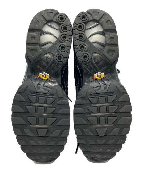 NIKE（ナイキ）NIKE (ナイキ) NIKE AIR MAX PLUS BLACK ブラック サイズ:29.5の古着・服飾アイテム