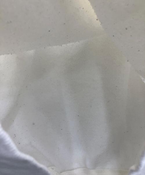 stussy（ステューシー）stussy (ステューシー) パーカー ホワイト サイズ:Lの古着・服飾アイテム