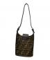 FENDI (フェンディ) ショルダーバッグ ブラウン：100000円