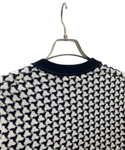 DRESSTERIOR（ドレステリア）DRESSTERIOR (ドレステリア) 薄手ニット ネイビー サイズ:Mの古着・服飾アイテム