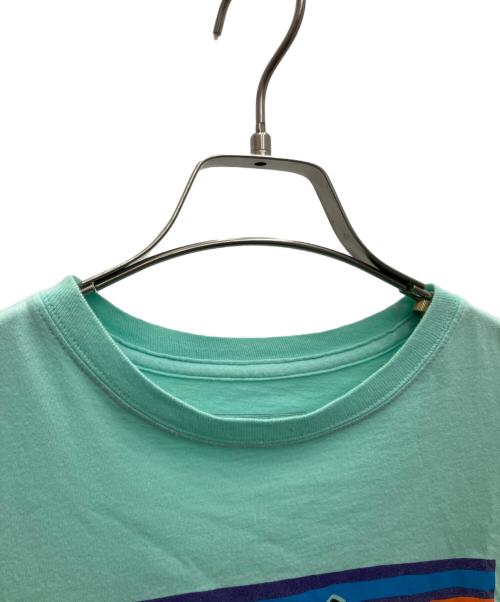 Patagonia（パタゴニア）Patagonia (パタゴニア) 半袖カットソー グリーン サイズ:Lの古着・服飾アイテム