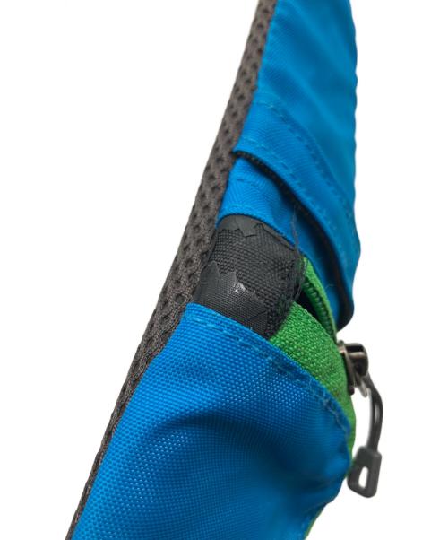 Patagonia（パタゴニア）Patagonia (パタゴニア) ボディーバッグ ブルーの古着・服飾アイテム