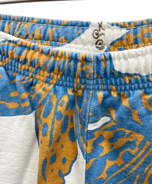 stussy（ステューシー）stussy (ステューシー) パンツ ブルー×ホワイト サイズ:Mの古着・服飾アイテム