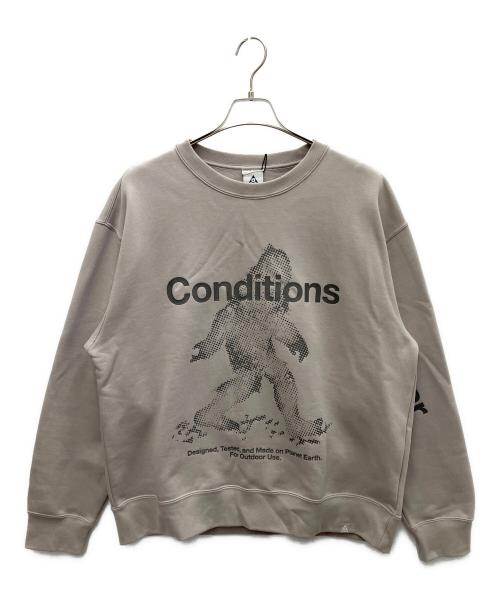 NIKE ACG（ナイキエーシージー）NIKE ACG (ナイキエーシージー) TF TUFF OC SSN フリースプルオーバー L/S グレー サイズ:L 未使用品の古着・服飾アイテム