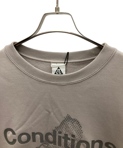 NIKE ACG（ナイキエーシージー）NIKE ACG (ナイキエーシージー) TF TUFF OC SSN フリースプルオーバー L/S グレー サイズ:L 未使用品の古着・服飾アイテム