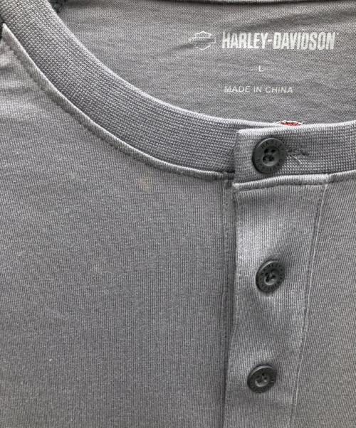 HARLEY-DAVIDSON（ハーレーダビッドソン）HARLEY-DAVIDSON (ハーレーダビッドソン) 長袖カットソー ブラック×グレー サイズ:Lの古着・服飾アイテム