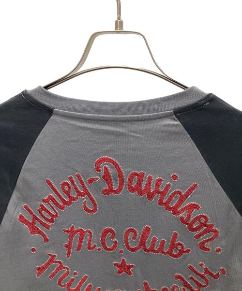 HARLEY-DAVIDSON（ハーレーダビッドソン）HARLEY-DAVIDSON (ハーレーダビッドソン) 長袖カットソー ブラック×グレー サイズ:Lの古着・服飾アイテム