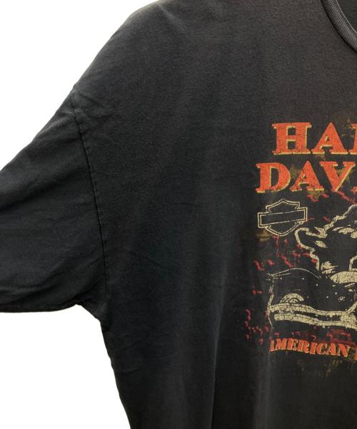 HARLEY-DAVIDSON（ハーレーダビッドソン）HARLEY-DAVIDSON (ハーレーダビッドソン) 半袖カットソー ブラック サイズ:3XLの古着・服飾アイテム