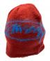 stussy（ステューシー）の古着「ニット帽」｜ブルー×レッド