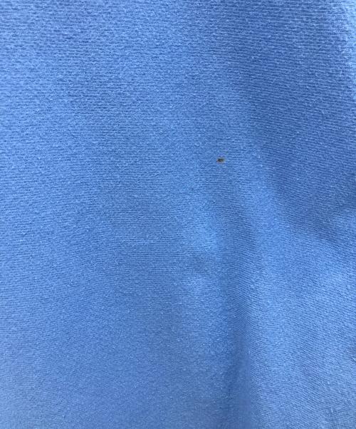 Champion REVERSE WEAVE（チャンピオン リバース ウィーブ）Champion REVERSE WEAVE (チャンピオン リバース ウィーブ) プルオーバーパーカー スカイブルー サイズ:SIZE XXLの古着・服飾アイテム