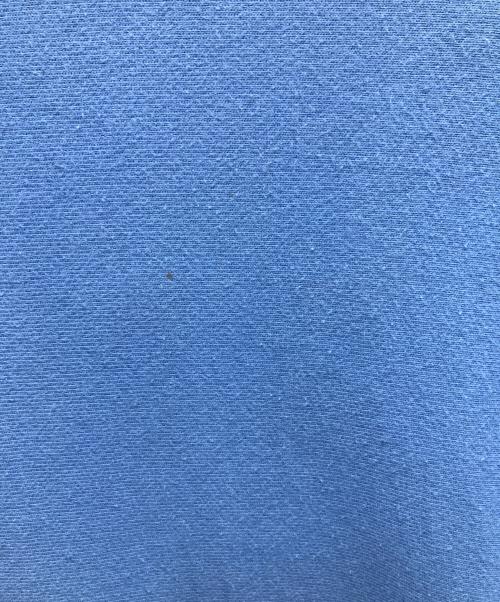 Champion REVERSE WEAVE（チャンピオン リバース ウィーブ）Champion REVERSE WEAVE (チャンピオン リバース ウィーブ) プルオーバーパーカー スカイブルー サイズ:SIZE XXLの古着・服飾アイテム