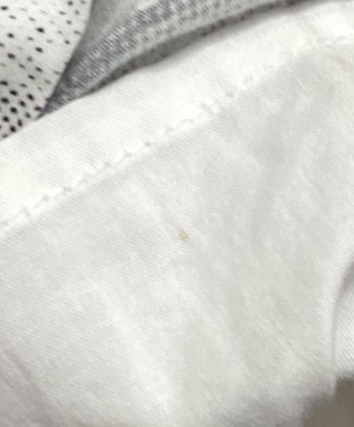 stussy（ステューシー）stussy (ステューシー) ショートパンツ ホワイト サイズ:Sの古着・服飾アイテム