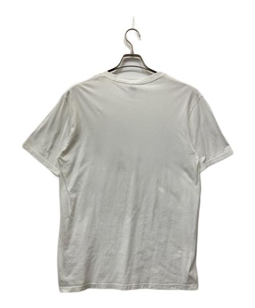 THE NORTH FACE（ザ ノース フェイス）THE NORTH FACE (ザ ノース フェイス) Supreme (シュプリーム) Expedition Photo Tee ホワイト サイズ:Mの古着・服飾アイテム