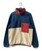 Patagoniaパタゴニア）の古着「Patagonia Microdini 1/2 Zip Fleece Pullover」｜ブルー×アイボリー