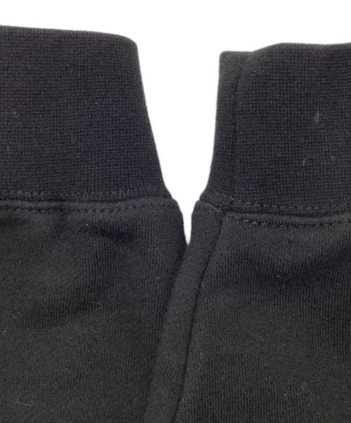 stussy（ステューシー）stussy (ステューシー) MASKED HOODIE ブラック サイズ:Lの古着・服飾アイテム