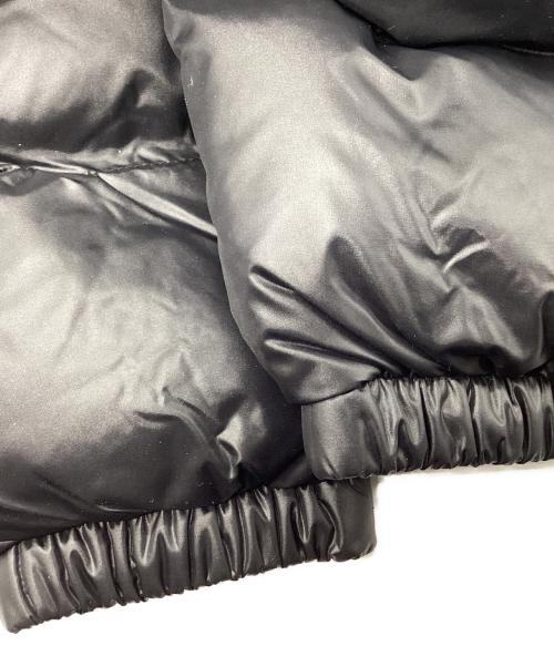 THE NORTH FACE（ザ ノース フェイス）THE NORTH FACE (ザ ノース フェイス) ダウンジャケット ブラック サイズ:L 未使用品の古着・服飾アイテム