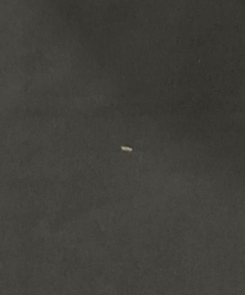 Snidel（スナイデル）Snidel (スナイデル) 西川 (ニシカワ) ダウンジャケット ブラックの古着・服飾アイテム