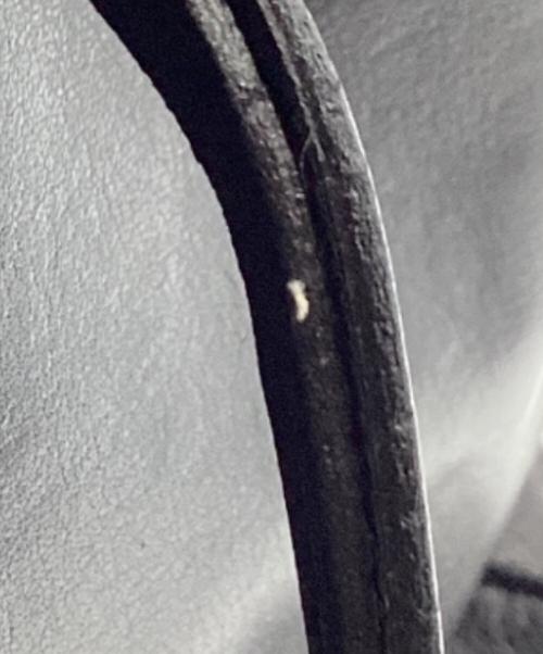 aniary（アニアリ）aniary (アニアリ) ミニトートバッグ ブラックの古着・服飾アイテム