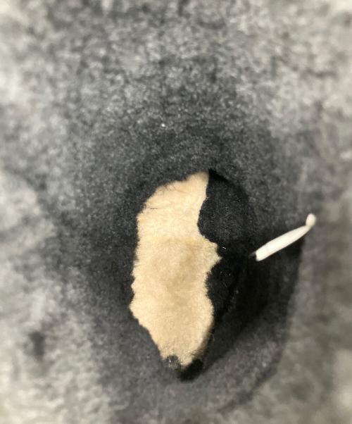 UGG（アグ）UGG (アグ) JIMMY CHOO (ジミーチュウ) ムートンブーツ ブラック サイズ:USA10の古着・服飾アイテム