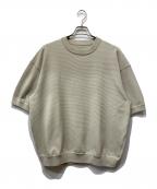 THE NORTH FACEザ ノース フェイス）の古着「半袖カットソー」｜ベージュ