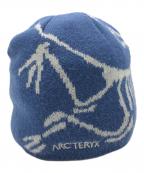 ARC'TERYXアークテリクス）の古着「ニット帽」｜ブルー×グレー