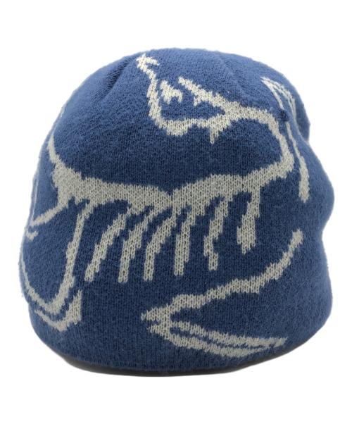 ARC'TERYX（アークテリクス）ARC'TERYX (アークテリクス) ニット帽 ブルー×グレーの古着・服飾アイテム