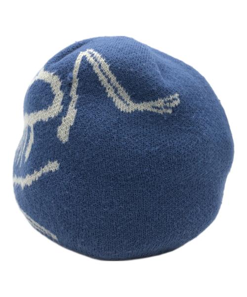 ARC'TERYX（アークテリクス）ARC'TERYX (アークテリクス) ニット帽 ブルー×グレーの古着・服飾アイテム