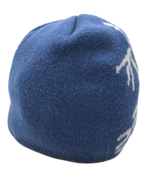 ARC'TERYX（アークテリクス）ARC'TERYX (アークテリクス) ニット帽 ブルー×グレーの古着・服飾アイテム