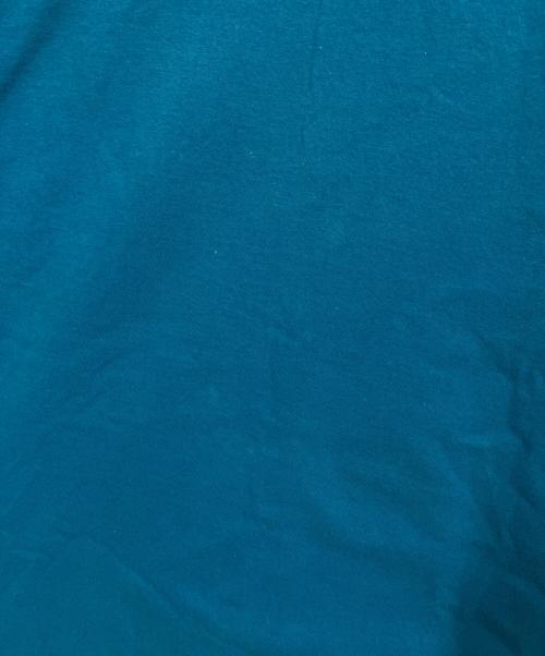 stussy（ステューシー）stussy (ステューシー) BIG BOY TEE ブルー サイズ:Lの古着・服飾アイテム